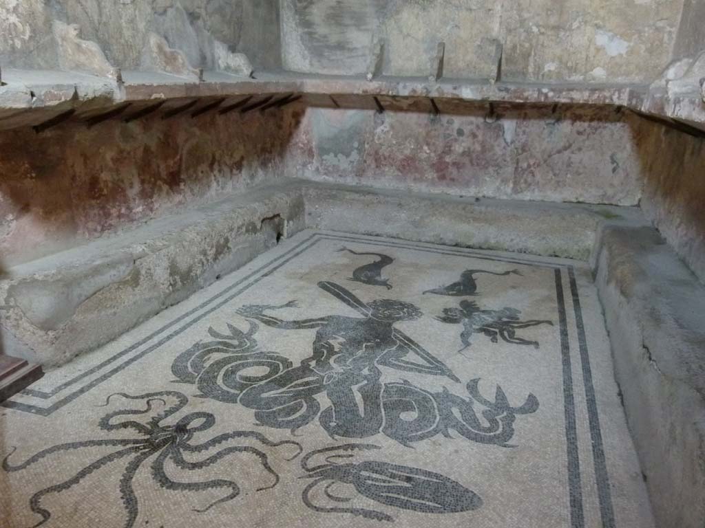 VI.8 Herculaneum. April 2011. Looking towards north-west corner of apodyterium/changing room.
Photo courtesy of Klaus Heese.